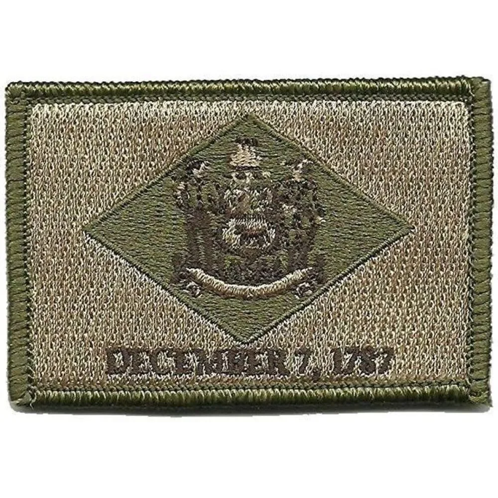 BuckUp Tactical Morale Patch Hook Delaware Dover State Patches 3x2